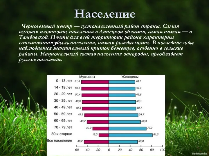 Население Черноземный центр — густонаселенный район страны. Самая высокая плотность населения в