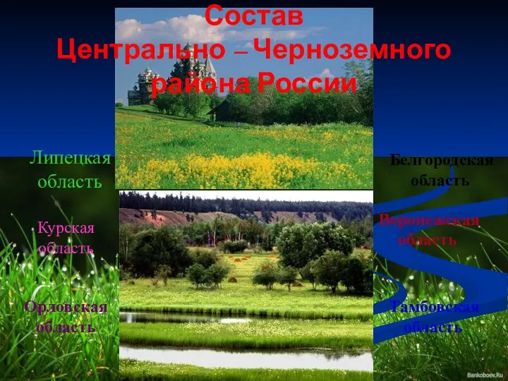 Состав Центрально – Черноземного района России Липецкая область Курская область Орловская область