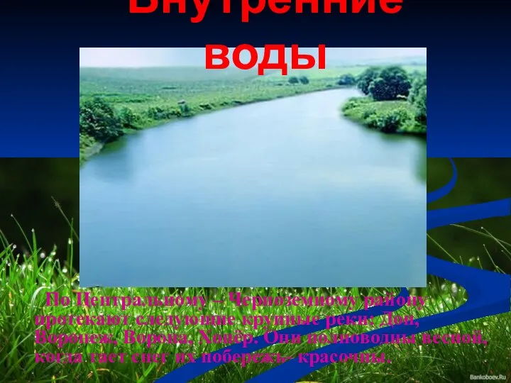 Внутренние воды По Центральному – Черноземному району протекают следующие крупные реки: Дон,