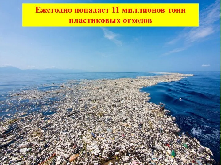 Ежегодно попадает 11 миллионов тонн пластиковых отходов