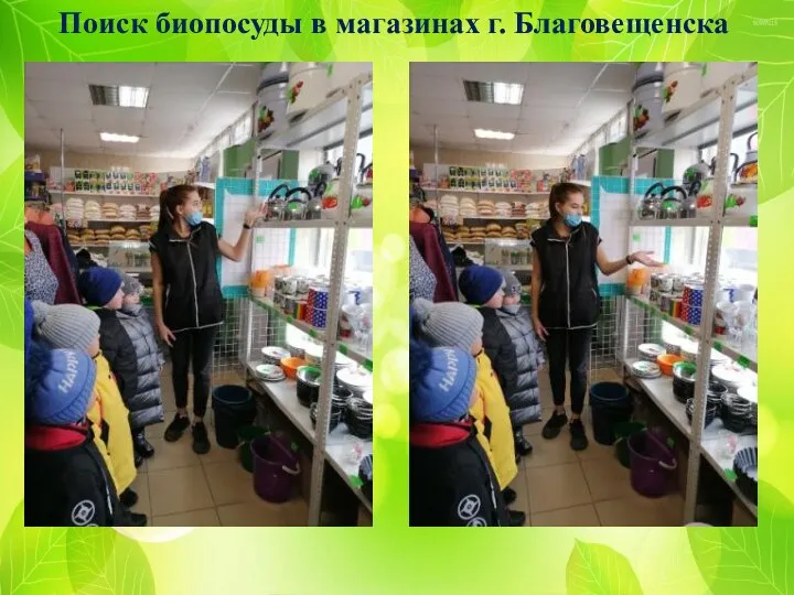 Поиск биопосуды в магазинах г. Благовещенска