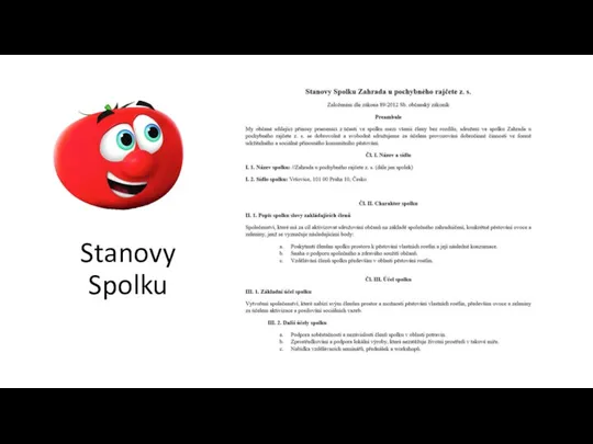 Stanovy Spolku