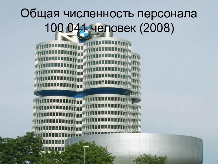 Общая численность персонала 100 041 человек (2008)