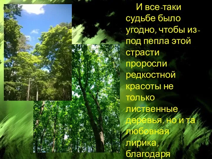 И все-таки судьбе было угодно, чтобы из-под пепла этой страсти проросли редкостной