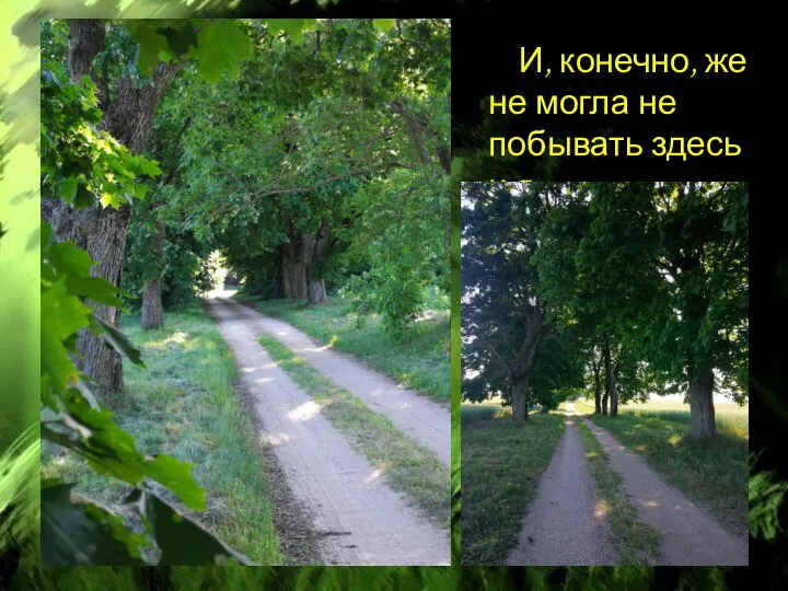 И, конечно, же не могла не побывать здесь и я.