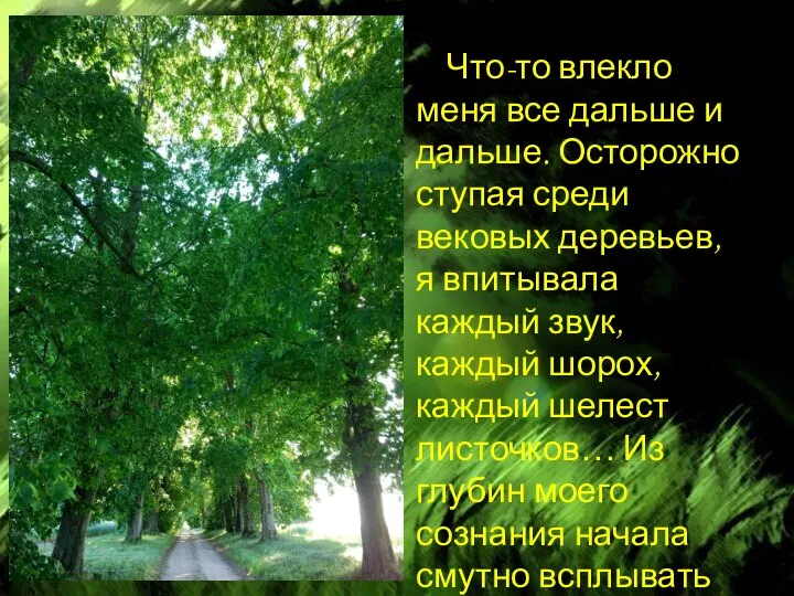 Что-то влекло меня все дальше и дальше. Осторожно ступая среди вековых деревьев,