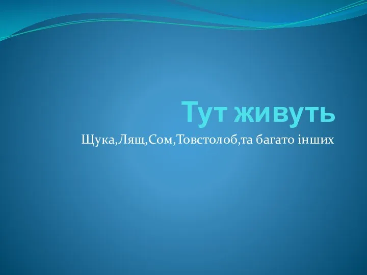 Тут живуть Щука,Лящ,Сом,Товстолоб,та багато інших