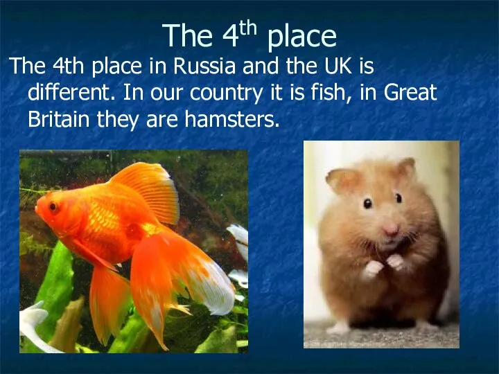 The 4th place The 4th place in Russia and the UK is