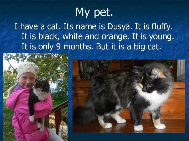 My pet. I have a cat. Its name is Dusya. It is