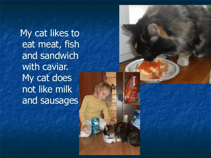 My cat likes to eat meat, fish and sandwich with caviar. My