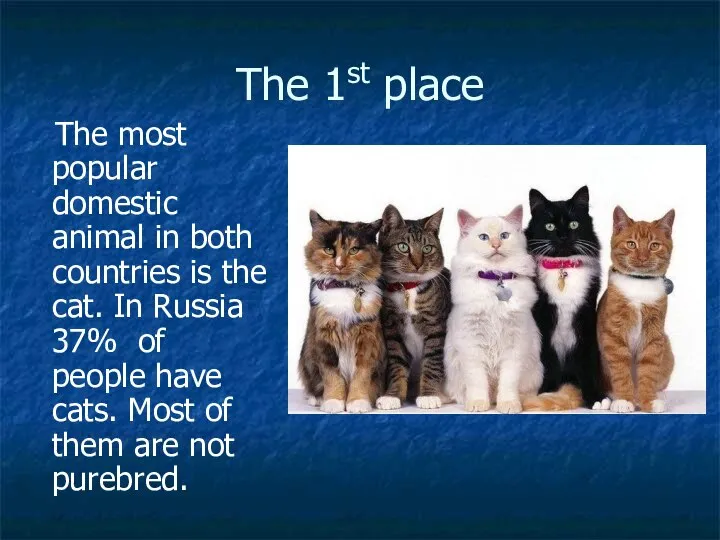 The 1st place The most popular domestic animal in both countries is