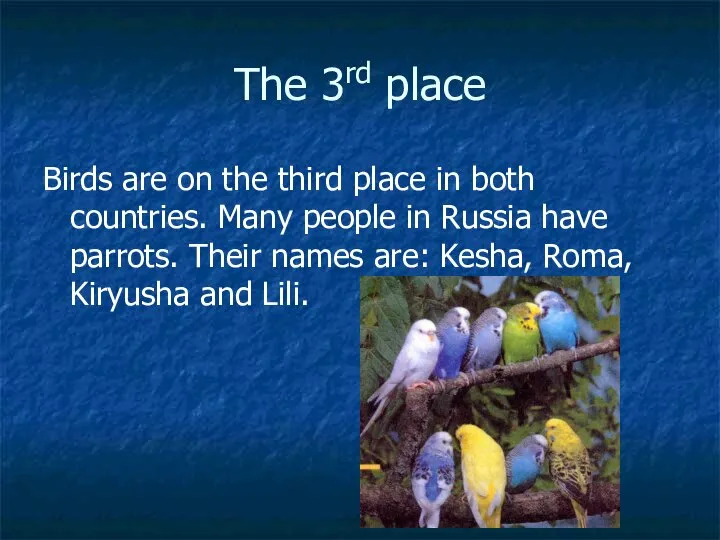 The 3rd place Birds are on the third place in both countries.