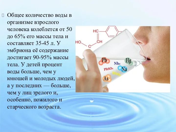 Общее количество воды в организме взрослого человека колеблется от 50 до 65%