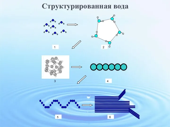 Структурированная вода