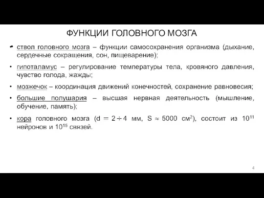 ФУНКЦИИ ГОЛОВНОГО МОЗГА