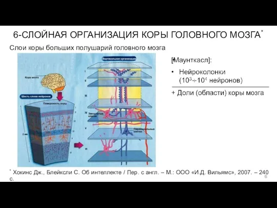 6-СЛОЙНАЯ ОРГАНИЗАЦИЯ КОРЫ ГОЛОВНОГО МОЗГА* Слои коры больших полушарий головного мозга *