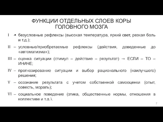 ФУНКЦИИ ОТДЕЛЬНЫХ СЛОЕВ КОРЫ ГОЛОВНОГО МОЗГА I II III IV V VI