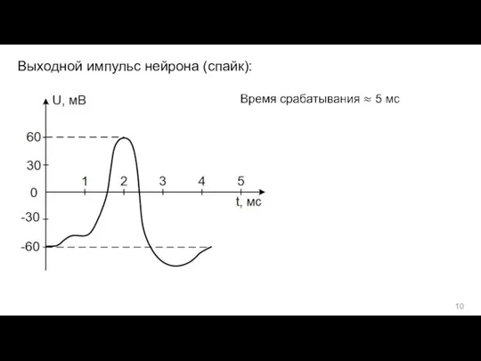 Выходной импульс нейрона (спайк):