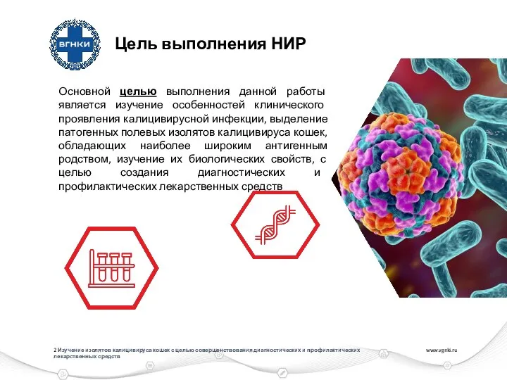 www.vgnki.ru 2019 г. Основной целью выполнения данной работы является изучение особенностей клинического
