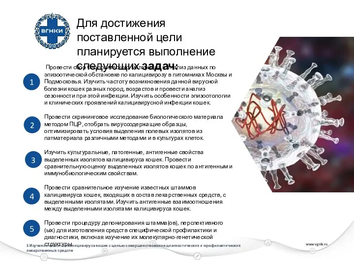 www.vgnki.ru Провести сбор биологического материала и анализ данных по эпизоотической обстановке по
