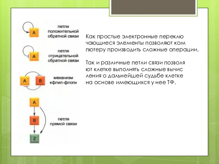 Как простые электронные переклю чающиеся элементы позволяют ком пютеру производить сложные операции.