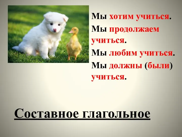 Мы хотим учиться. Мы продолжаем учиться. Мы любим учиться. Мы должны (были) учиться. Составное глагольное