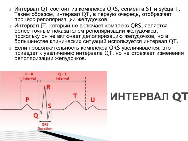 Интервал QT состоит из комплекса QRS, сегмента ST и зубца T. Таким