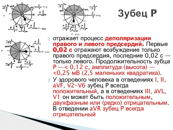 отражает процесс деполяризации правого и левого предсердий. Первые 0,02 с отражают возбуждение