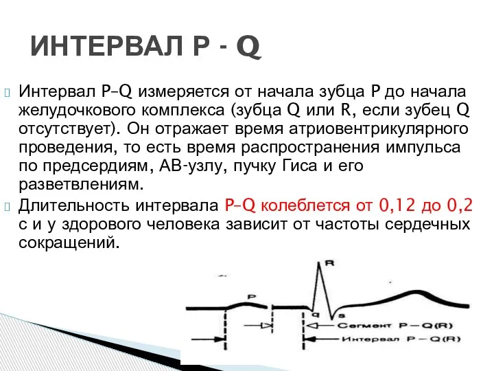 Интервал P–Q измеряется от начала зубца P до начала желудочкового комплекса (зубца