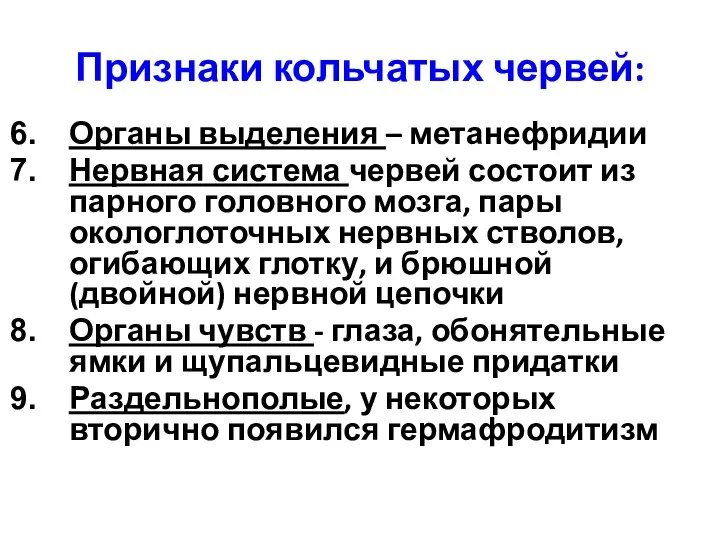 Признаки кольчатых червей: Органы выделения – метанефридии Нервная система червей состоит из