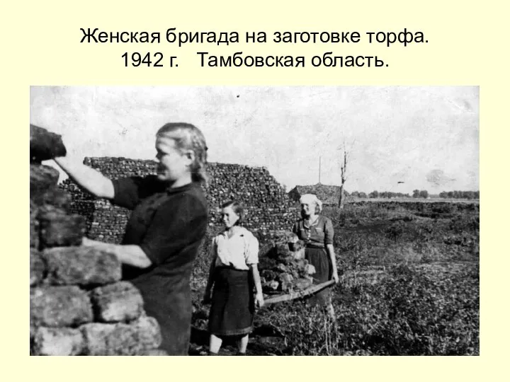 Женская бригада на заготовке торфа. 1942 г. Тамбовская область.