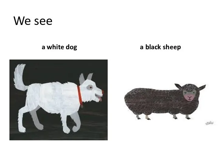 We see a white dog a black sheep