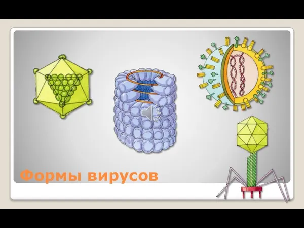 Формы вирусов