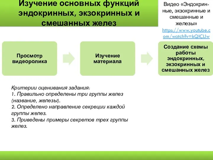 Изучение основных функций эндокринных, экзокринных и смешанных желез Видео «Эндокрин-ные, экзокринные и