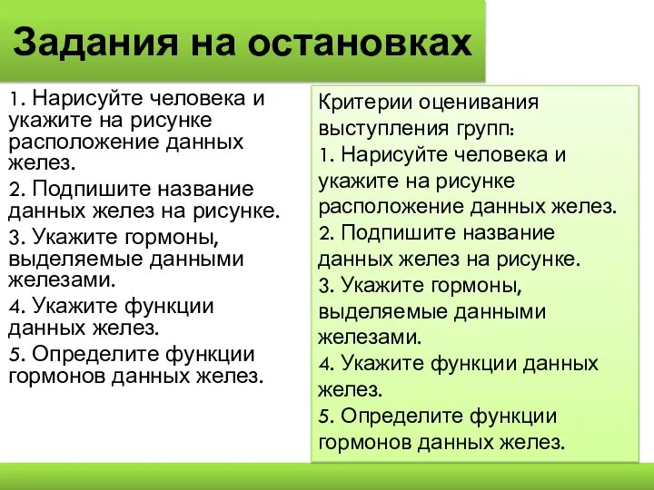 Задания на остановках 1. Нарисуйте человека и укажите на рисунке расположение данных