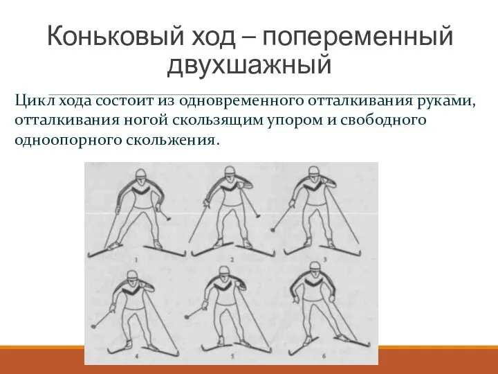 Коньковый ход – попеременный двухшажный Цикл хода состоит из одновременного отталкивания руками,