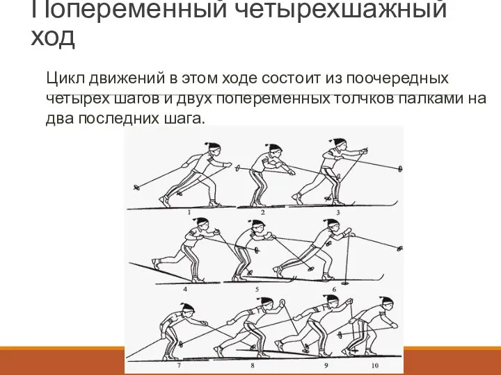 Попеременный четырехшажный ход Цикл движений в этом ходе состоит из поочередных четырех