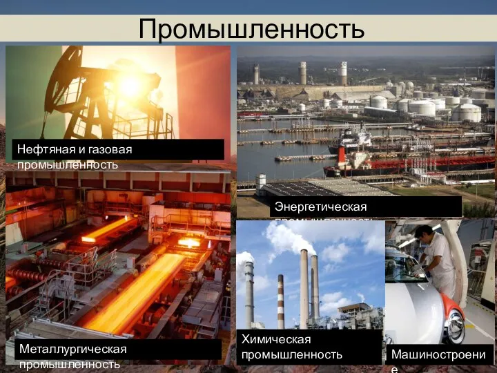 Промышленность Энергетическая промышленность Нефтяная и газовая промышленность Металлургическая промышленность Машиностроение Химическая промышленность