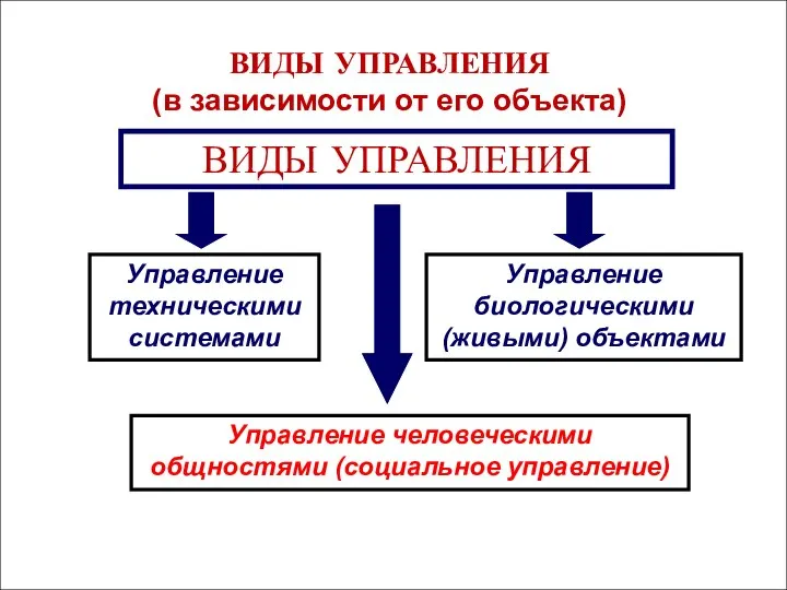 ВИДЫ УПРАВЛЕНИЯ (в зависимости от его объекта) ВИДЫ УПРАВЛЕНИЯ Управление техническими системами