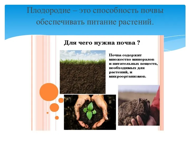 Плодородие – это способность почвы обеспечивать питание растений.