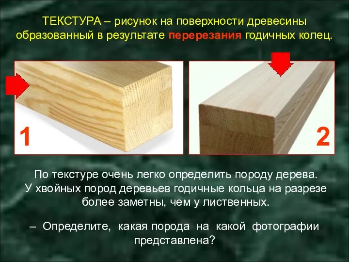 ТЕКСТУРА – рисунок на поверхности древесины образованный в результате перерезания годичных колец.
