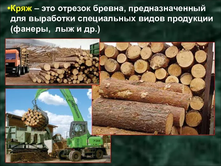 Кряж – это отрезок бревна, предназначенный для выработки специальных видов продукции (фанеры, лыж и др.)