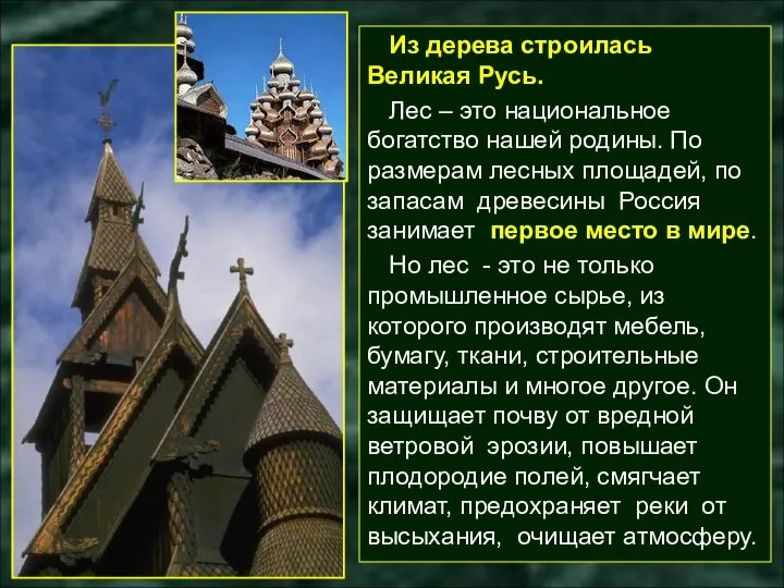 Из дерева строилась Великая Русь. Лес – это национальное богатство нашей родины.