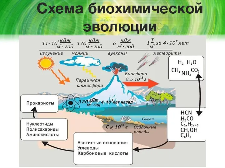 Схема биохимической эволюции