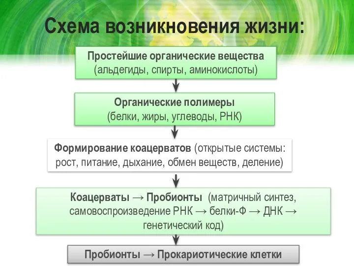 Схема возникновения жизни: Пробионты → Прокариотические клетки Простейшие органические вещества (альдегиды, спирты,