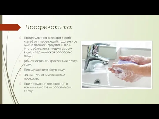Профилактика: Профилактика включает в себя мытьё рук перед едой, тщательное мытьё овощей,