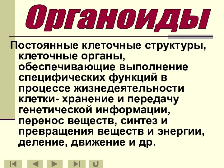 Постоянные клеточные структуры, клеточные органы, обеспечивающие выполнение специфических функций в процессе жизнедеятельности