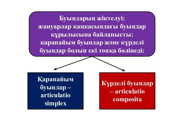 Буындарың жіктелуі: жануарлар қаңқасындағы буындар құрылысына байланысты: қарапайым буындар және күрделі буындар