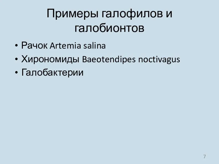 Примеры галофилов и галобионтов Рачок Artemia salina Хирономиды Baeotendipes noctivagus Галобактерии