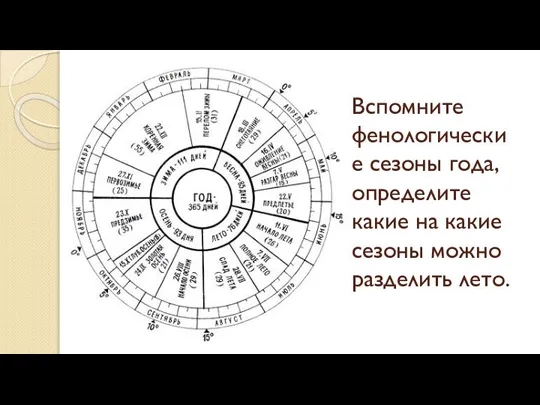 Вспомните фенологические сезоны года, определите какие на какие сезоны можно разделить лето.